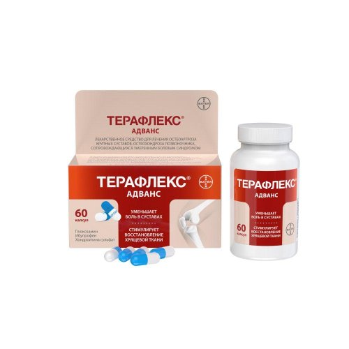 Терафлекс адванс капс. №60